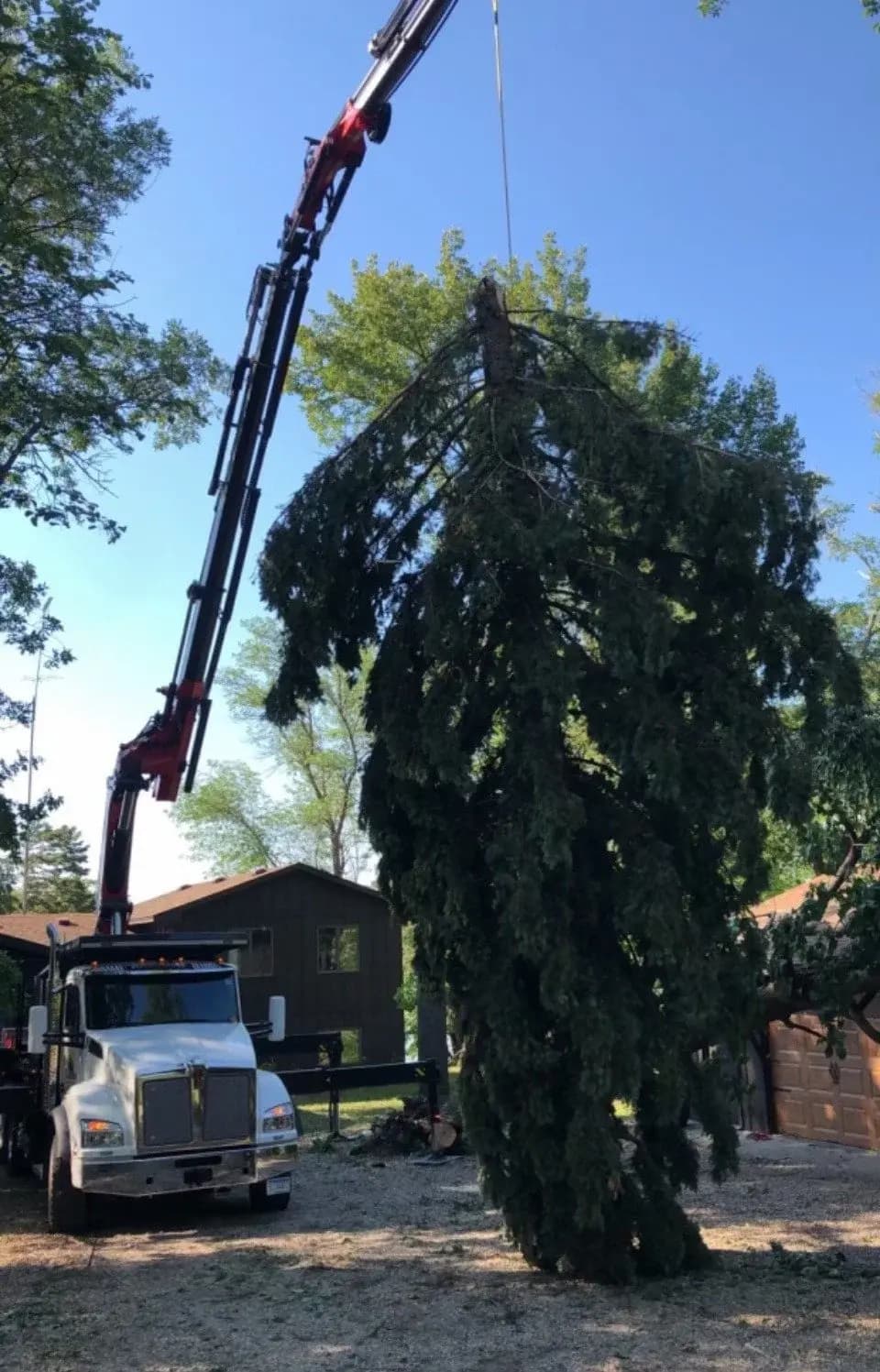 Crane-supported tree removal near a structure in the Brainerd Lakes Area.